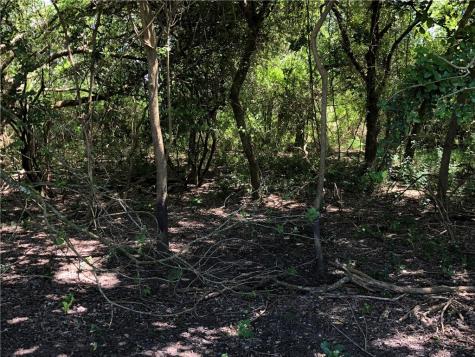 0 Creek 59 South Of Fm 70 Bishop TX 78343