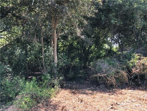 0 Creek 59 South Of Fm 70 Bishop TX 78343