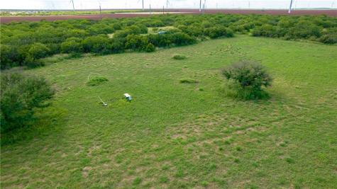 0 Creek 59 South Of Fm 70 Bishop TX 78343