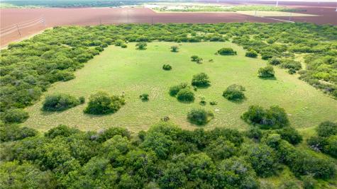 0 Creek 59 South Of Fm 70 Bishop TX 78343