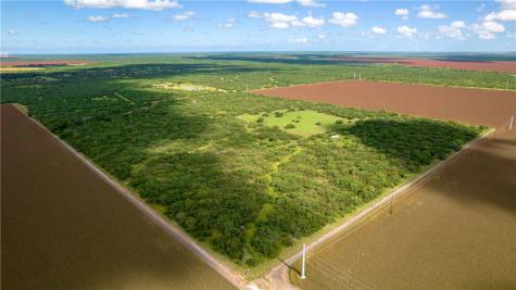 0 Creek 59 South Of Fm 70 Bishop TX 78343