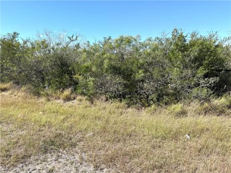 2647 Highway 359 Benavides TX 78341