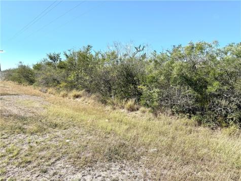 2647 Highway 359 Benavides TX 78341