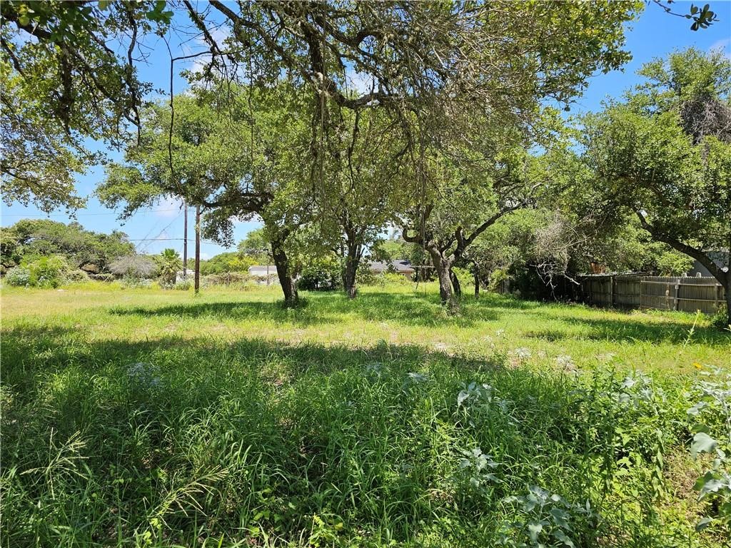 N 1/2 Lot 1 Hackberry Ingleside TX 78362