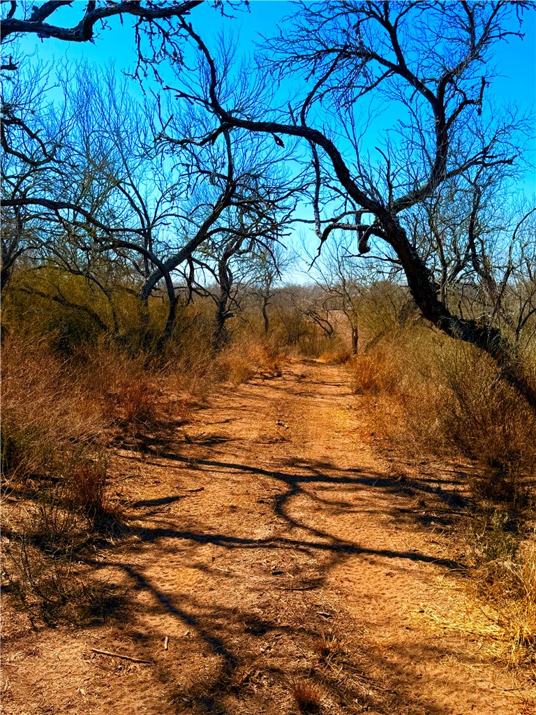 0 Tract 13 San Diego Creek Ranch San Diego TX 78384