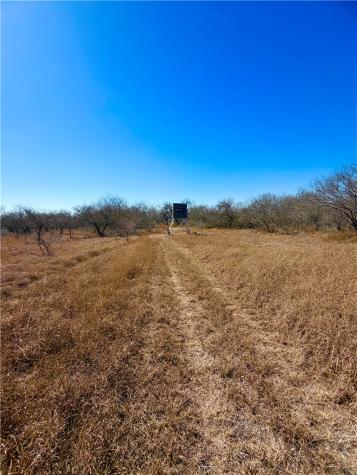 0 Tract 13 San Diego Creek Ranch San Diego TX 78384
