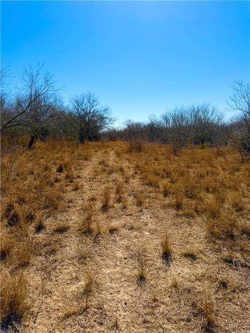 0 Tract 13 San Diego Creek Ranch San Diego TX 78384