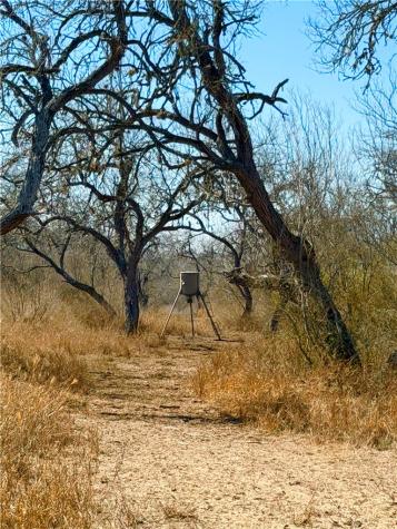 0 Tract 13 San Diego Creek Ranch San Diego TX 78384