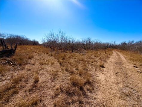 0 Tract 13 San Diego Creek Ranch San Diego TX 78384