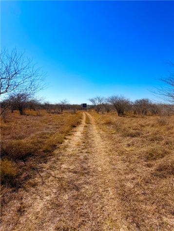 0 Tract 13 San Diego Creek Ranch San Diego TX 78384
