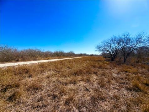 0 Tract 13 San Diego Creek Ranch San Diego TX 78384