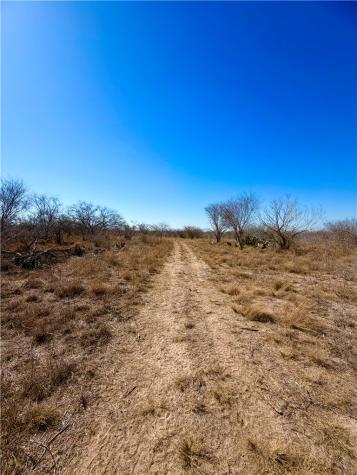 0 Tract 13 San Diego Creek Ranch San Diego TX 78384