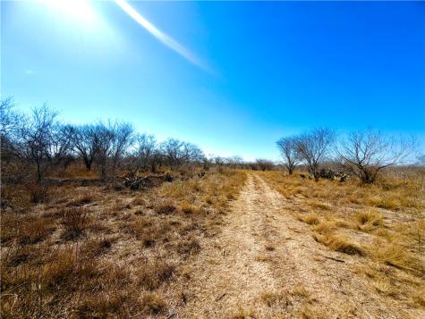 0 Tract 13 San Diego Creek Ranch San Diego TX 78384
