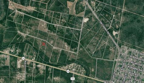 0 Tract 13 San Diego Creek Ranch San Diego TX 78384