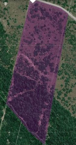 0 Tract 13 San Diego Creek Ranch San Diego TX 78384