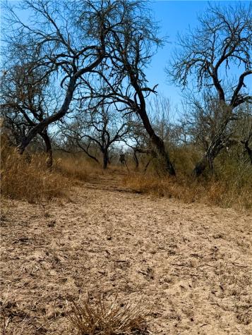 0 Tract 13 San Diego Creek Ranch San Diego TX 78384
