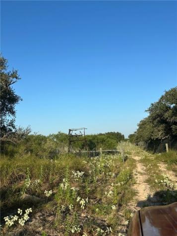 #694 Us-281 Highway Falfurrias TX 78355