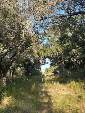 #694 Us-281 Highway Falfurrias TX 78355