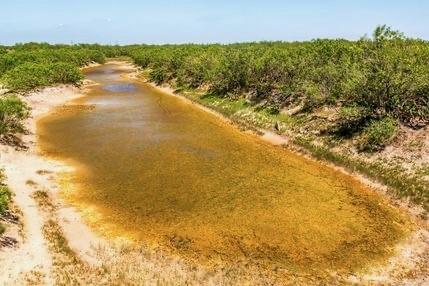 #694 Us-281 Highway Falfurrias TX 78355