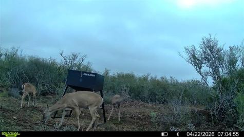 0 Cr 104 San Diego TX 78334