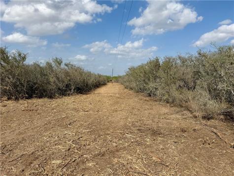 0 Cr 104 San Diego TX 78334