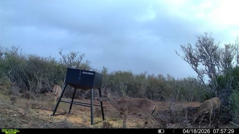 0 Cr 104 San Diego TX 78334