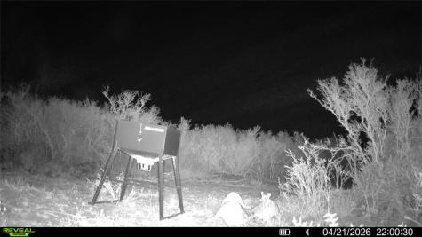0 Cr 104 San Diego TX 78334