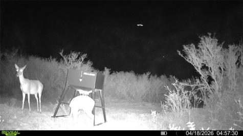 0 Cr 104 San Diego TX 78334