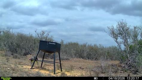 0 Cr 104 San Diego TX 78334