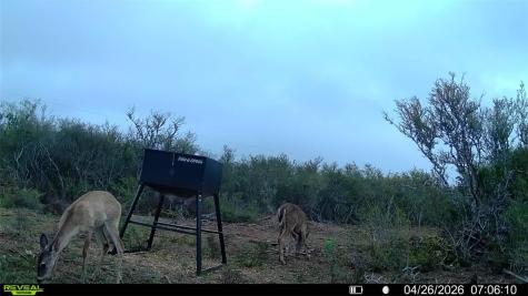 0 Cr 104 San Diego TX 78334