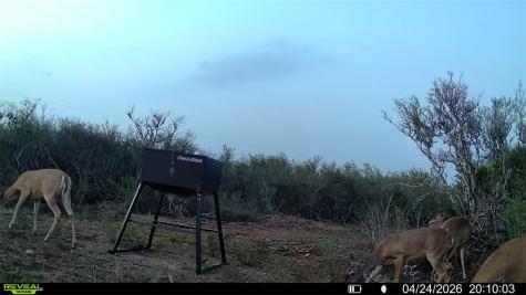 0 Cr 104 San Diego TX 78334