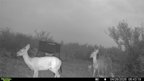 0 Cr 104 San Diego TX 78334