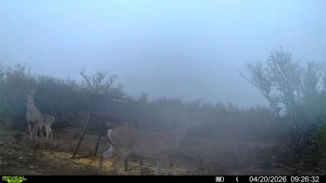0 Cr 104 San Diego TX 78334