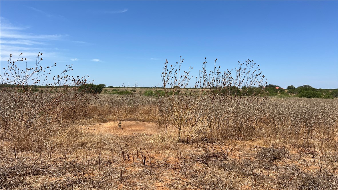 00 County Road 430 Pleasanton TX 78064