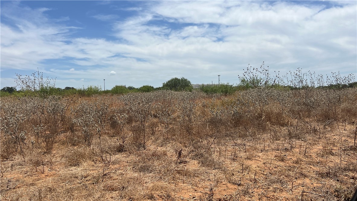00 County Road 430 Pleasanton TX 78064