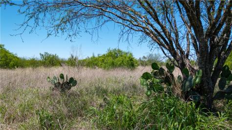 Trail 4 Fm 735 Alice TX 78332