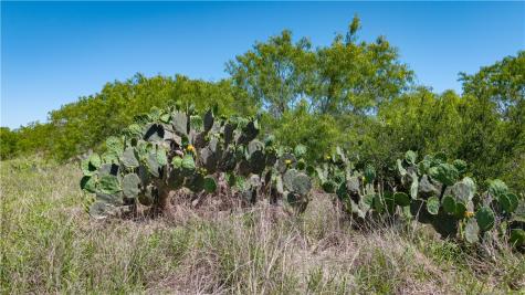 Trail 4 Fm 735 Alice TX 78332