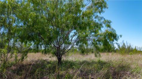 Trail 4 Fm 735 Alice TX 78332