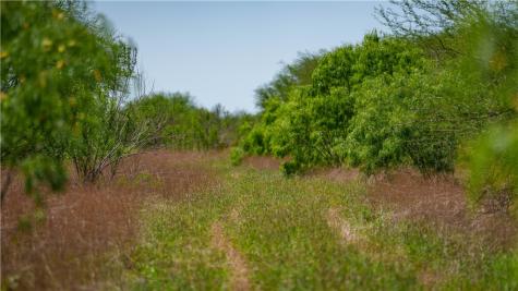 Trail 4 Fm 735 Alice TX 78332