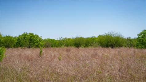 Trail 4 Fm 735 Alice TX 78332