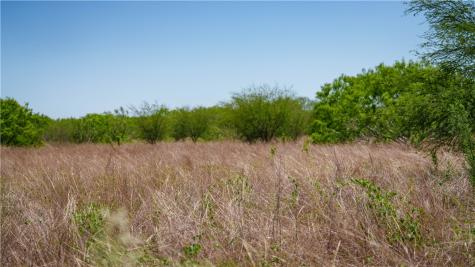 Trail 4 Fm 735 Alice TX 78332