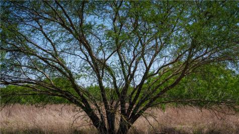 Trail 4 Fm 735 Alice TX 78332