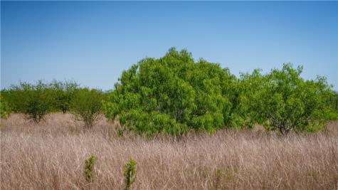 Trail 4 Fm 735 Alice TX 78332