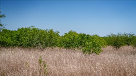 Trail 4 Fm 735 Alice TX 78332