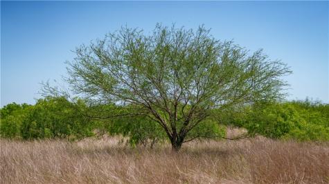 Trail 4 Fm 735 Alice TX 78332