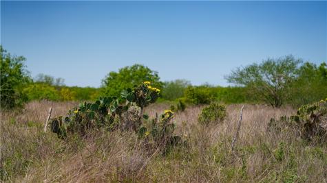 Trail 4 Fm 735 Alice TX 78332