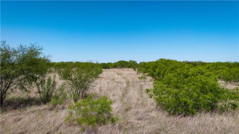 Trail 4 Fm 735 Alice TX 78332