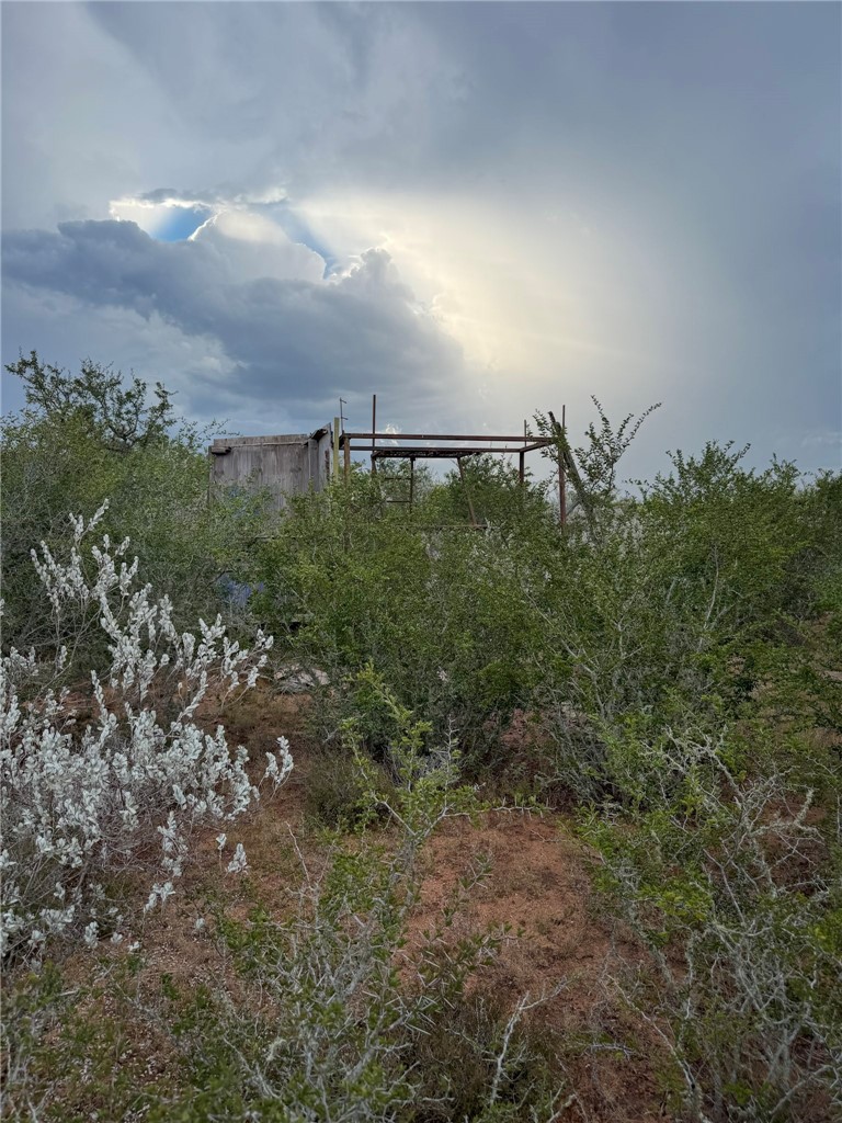 02 Cr 147 George West TX 78022