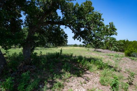 310 Crabapple Road Other TX 78606