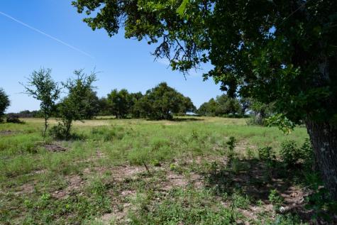 310 Crabapple Road Other TX 78606